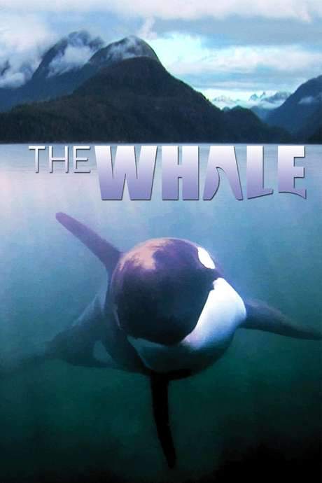 The Whale